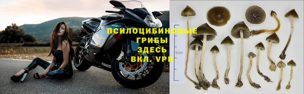 синтетический гашиш Абинск