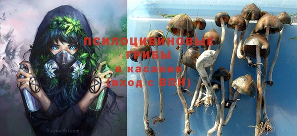 героин Алексин
