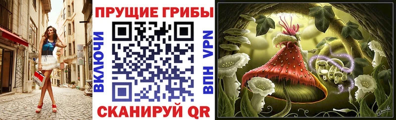 купить наркотики цена  Усть-Кут  Псилоцибиновые грибы Cubensis 